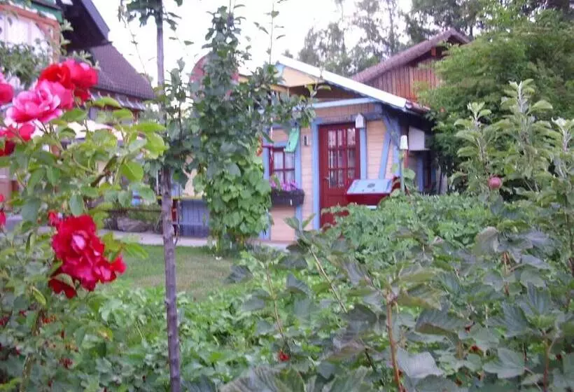 Apartment In Bernau Near The Ski Area