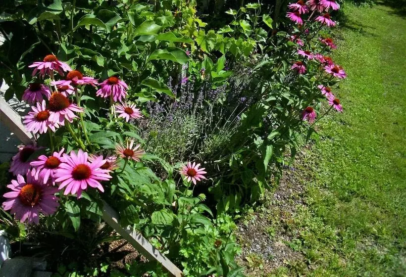 Apartment In Bernau Near The Ski Area