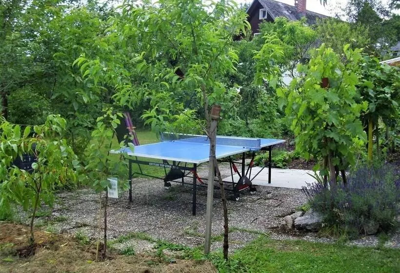 Apartment In Bernau Near The Ski Area