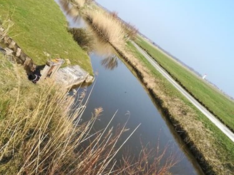 Bed and Breakfast Les Marmottes Charentaises