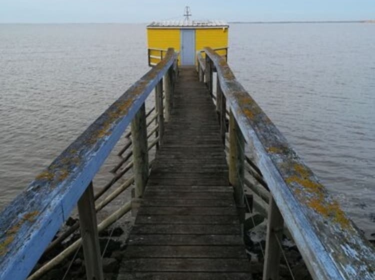 Bed and Breakfast Les Marmottes Charentaises