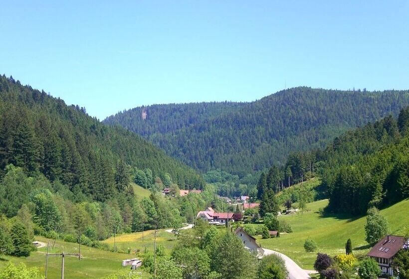Apartment With A View