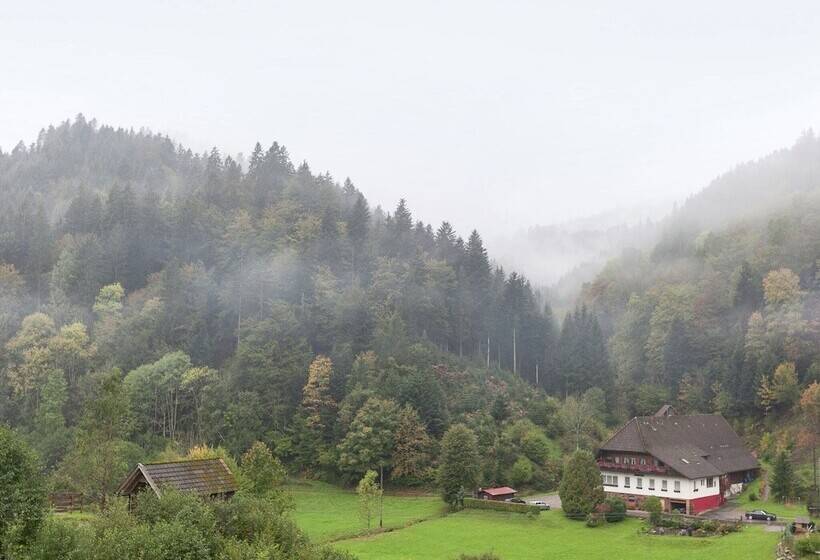 Apartment With A View