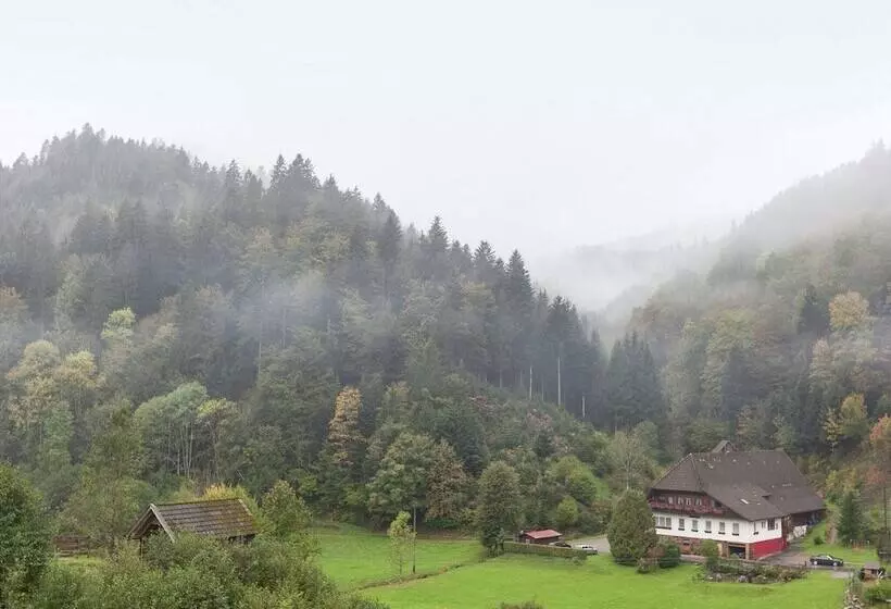 Apartment With A View