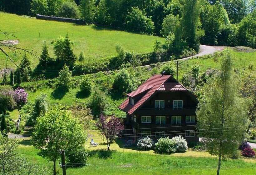 Apartment With A View