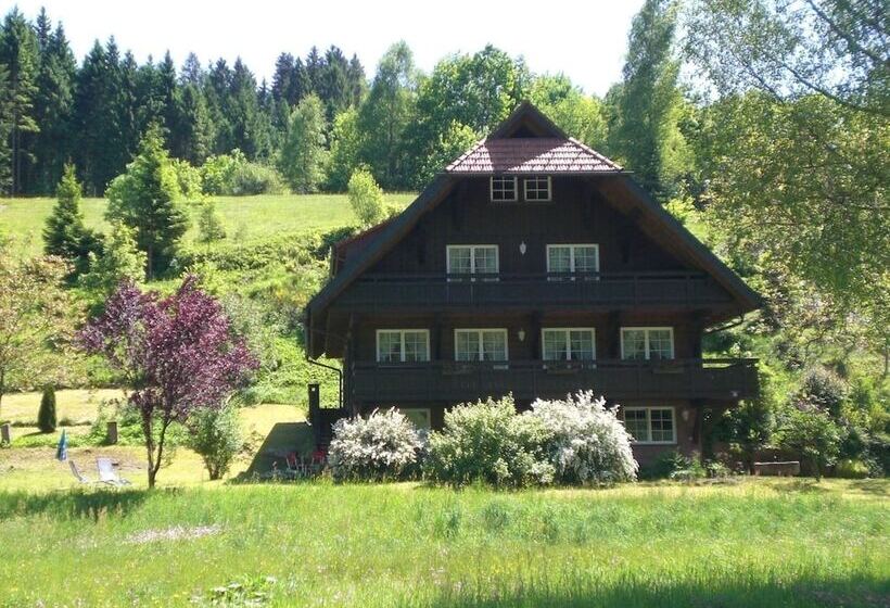 Apartment With A View