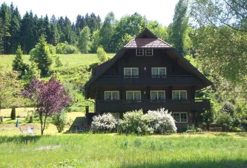 Apartment With A View