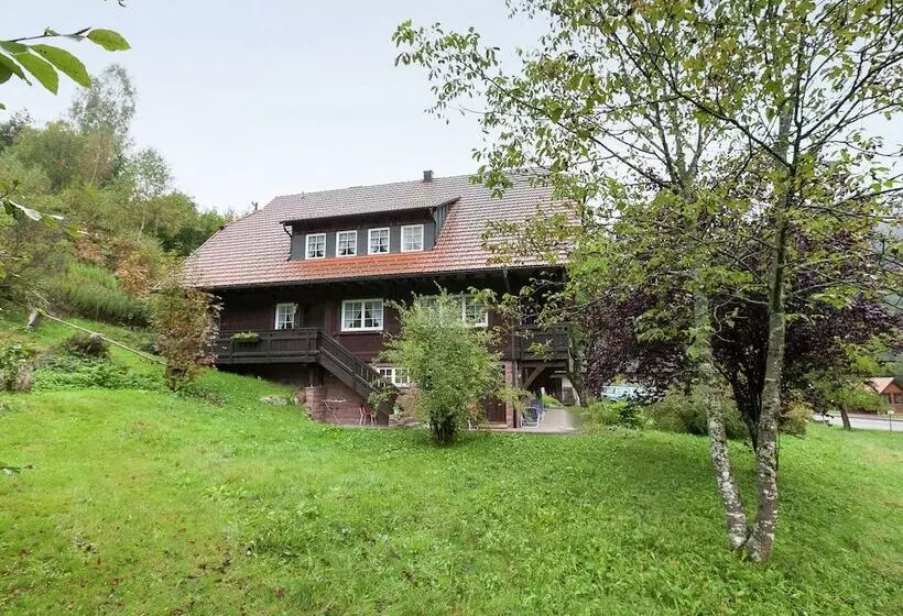 Apartment With A View