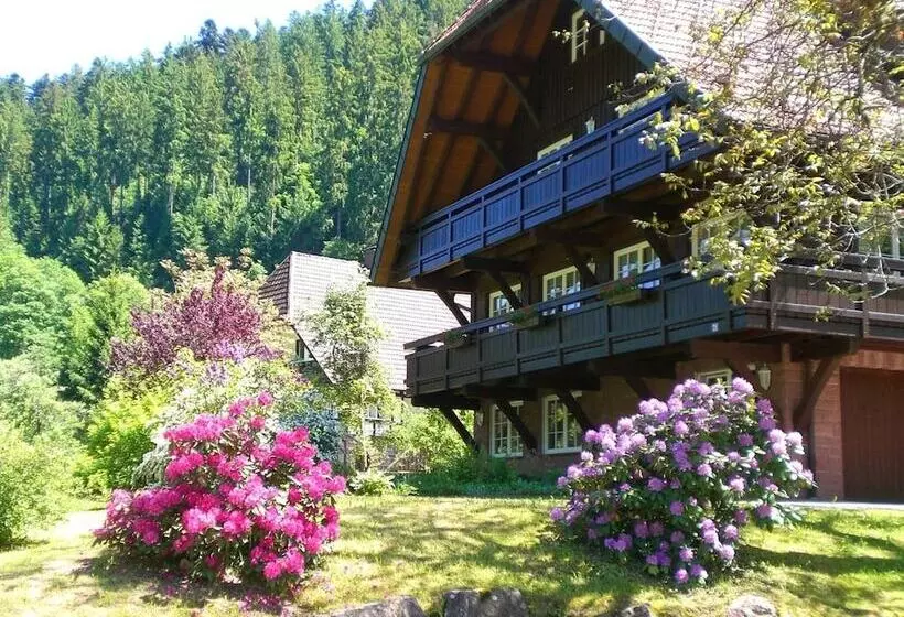 Apartment With A View