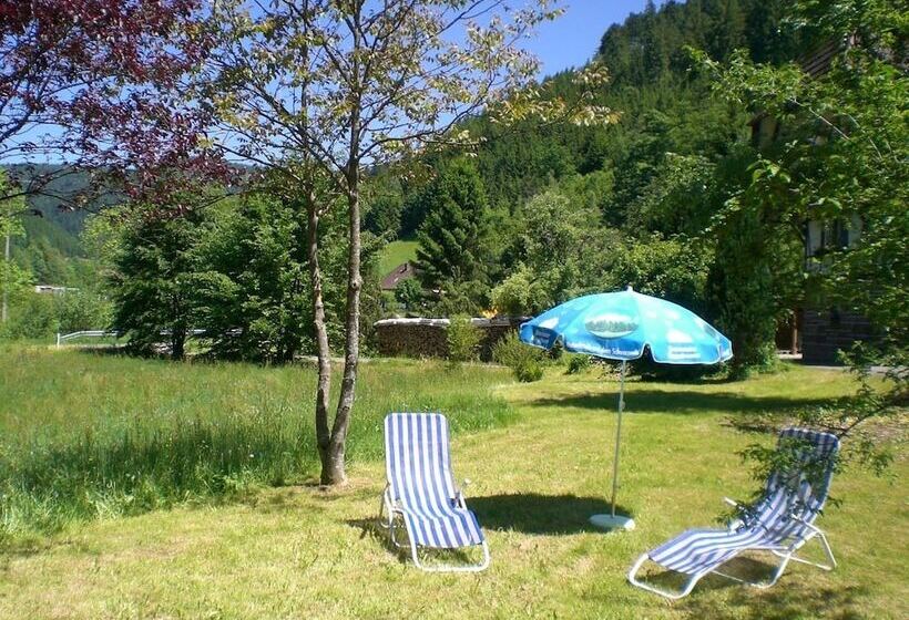 Apartment With A View