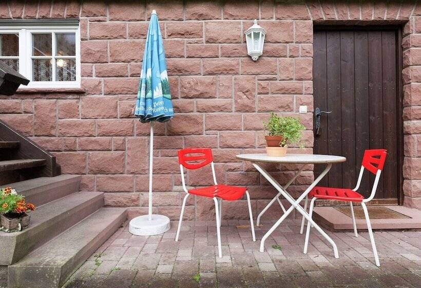 Apartment With A View