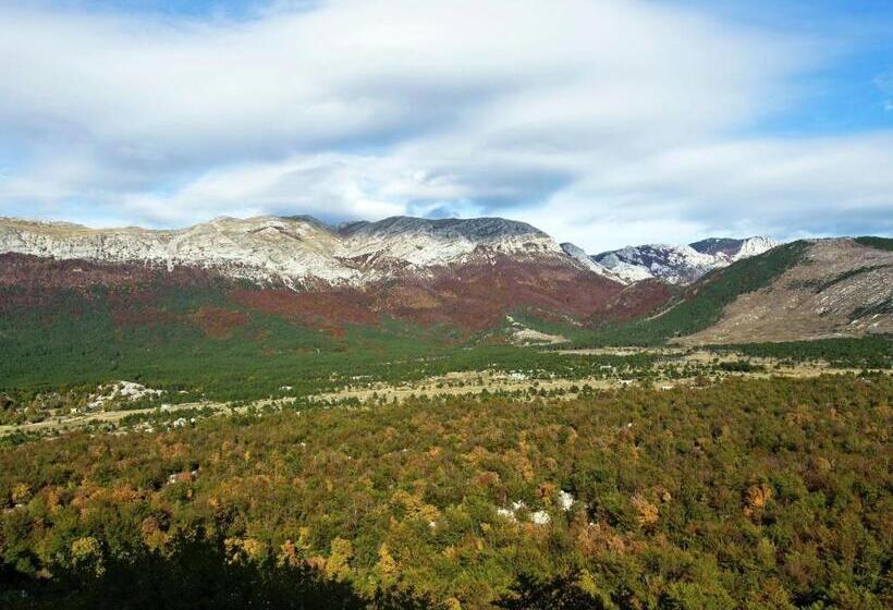 Luxury Apartment With Heated Pool In Starigrad