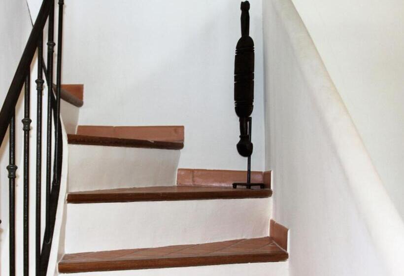 Modern Villa In La Motte With Swimming Pool