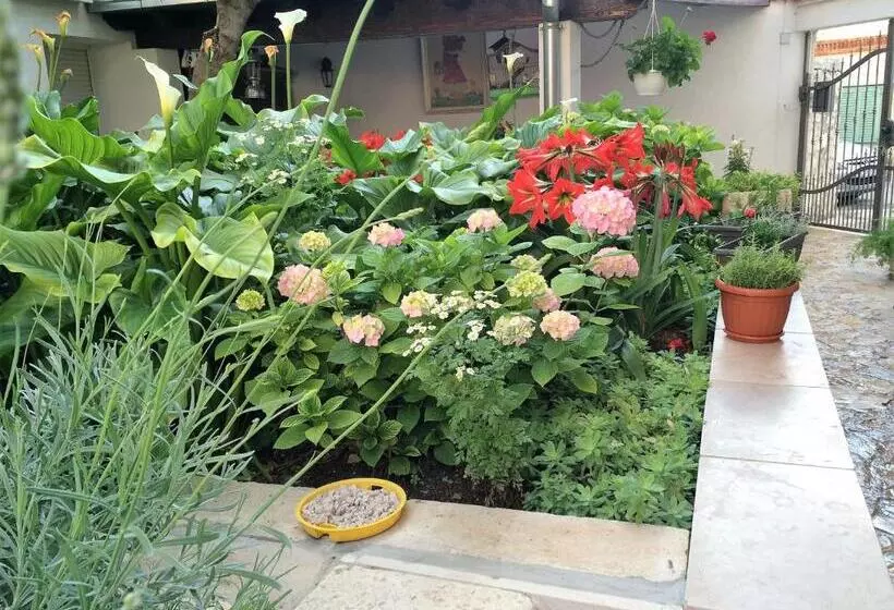 Pensió Guesthouse Kresic
