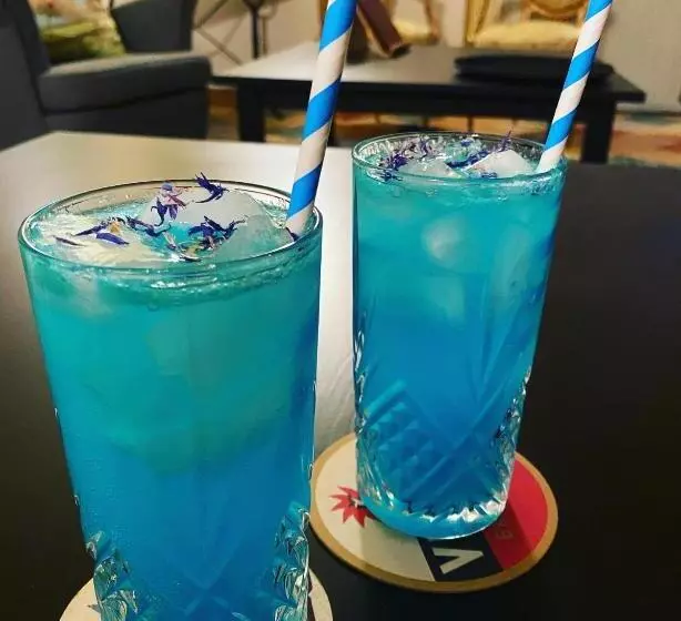 Sans Souci Bed And Breakfast Luxe Heated Pool And Restaurant