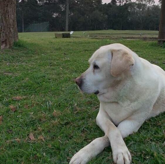 Boqueirão Hotel Fazenda