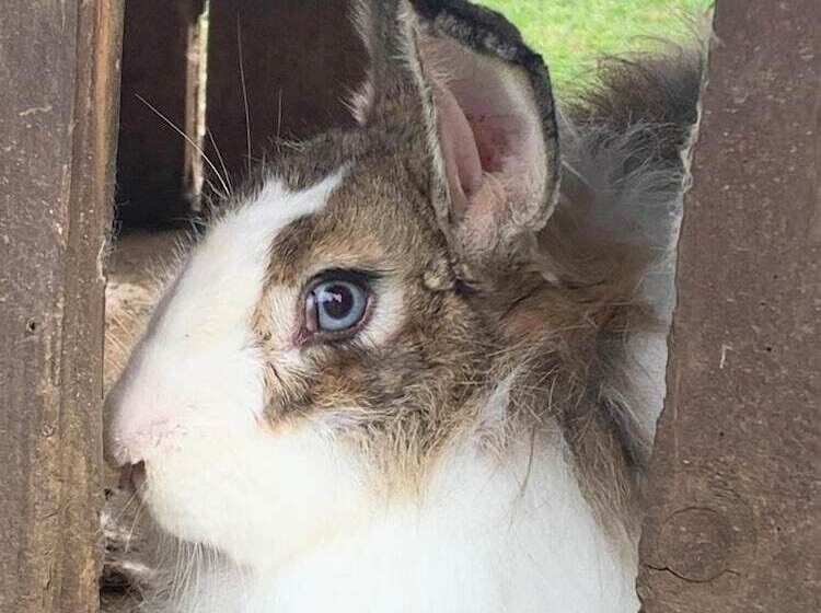 Boqueirão Hotel Fazenda