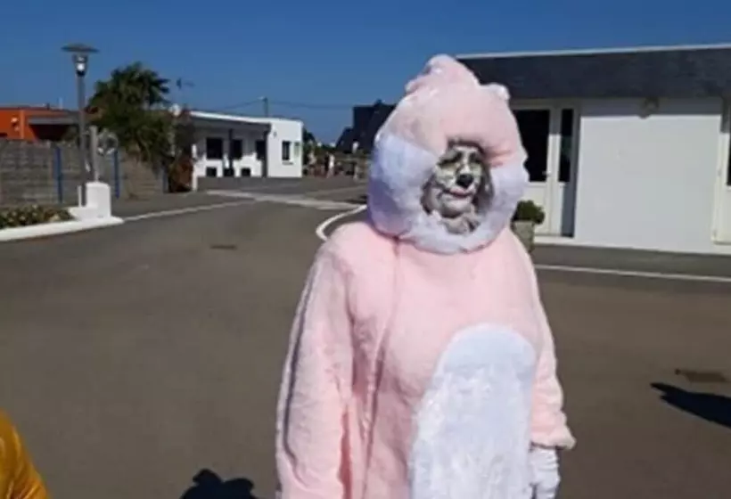 ホテル Camping Park Er Lann