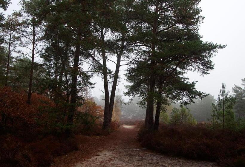 La Verriere Du Baron Greau