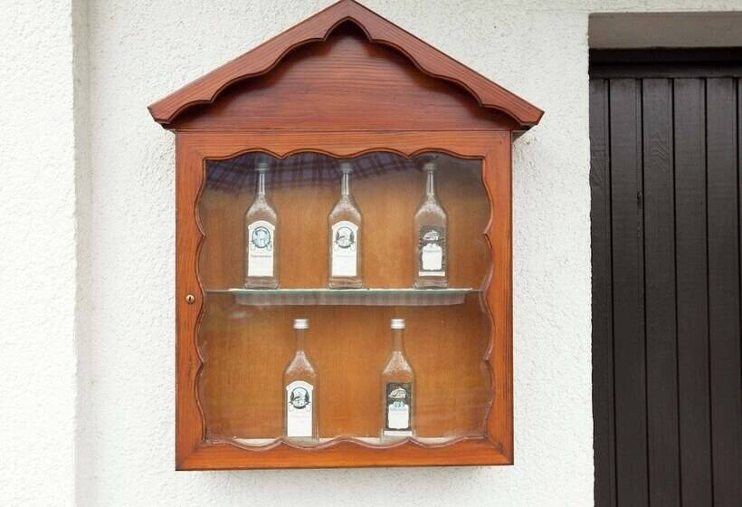 Modern Apartment In Bad Peterstal Griesbach With Vineyards