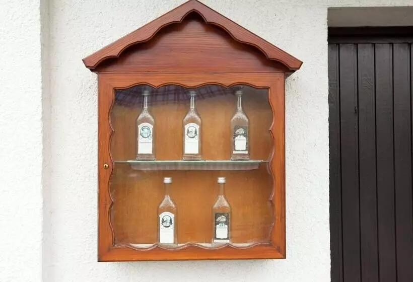 Modern Apartment In Bad Peterstal Griesbach With Vineyards