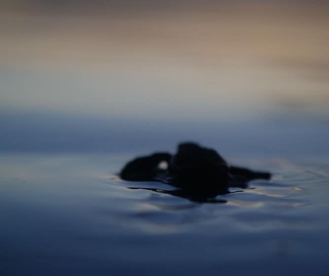 Verdad Nicaragua Beach Hotel & Retreat