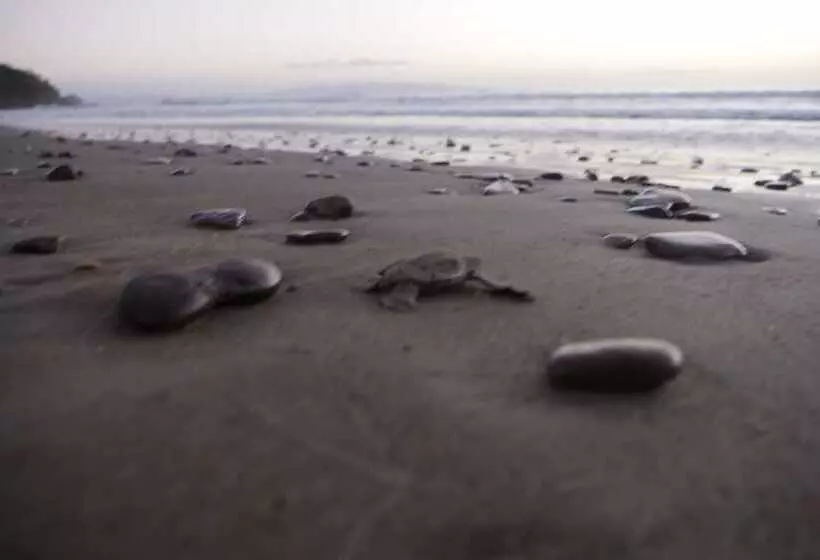 Verdad Nicaragua Beach Hotel & Retreat