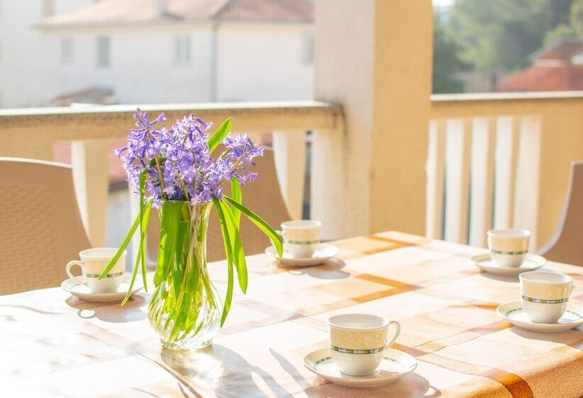 Apartments Grakalic Great Location