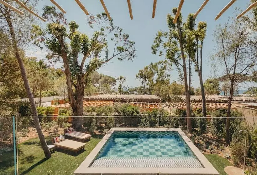 Hotelli Lily Of The Valley