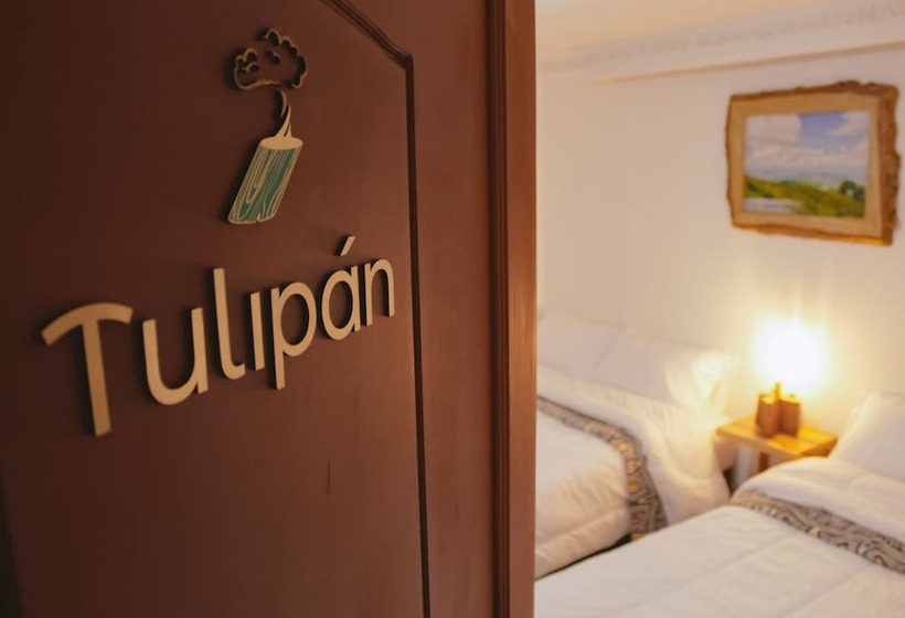 پانسیون Nogal Hostel