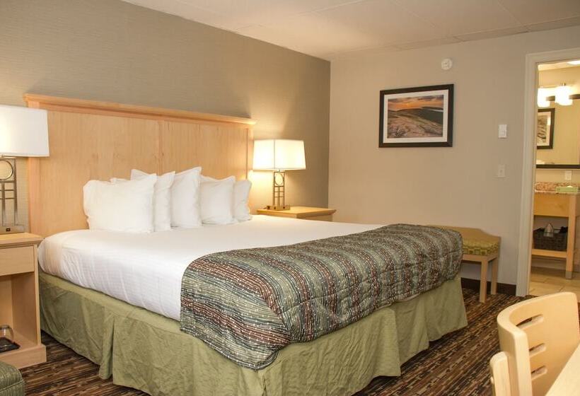 Bar Harbor Villager Motel   Downtown