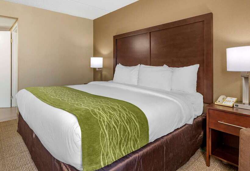 فندق Comfort Inn Edison  New Brunswick