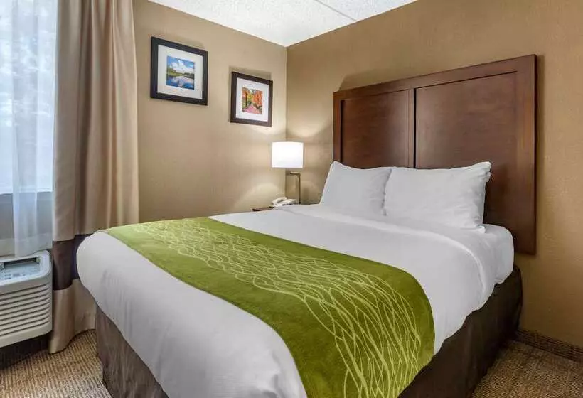 호텔 Comfort Inn Edison  New Brunswick