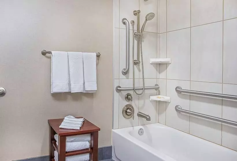 Otel Holiday Inn University Plaza Bowling Green, An Ihg