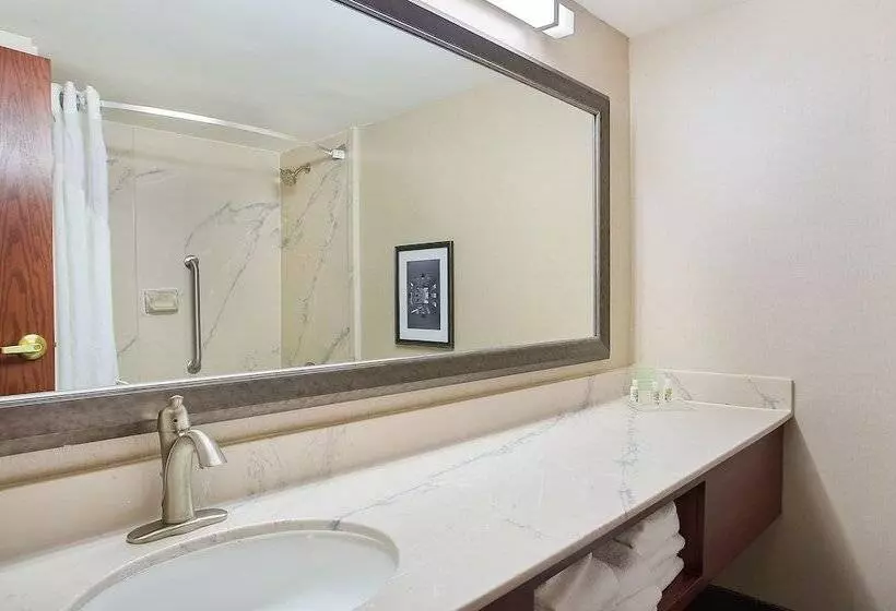 Otel Holiday Inn University Plaza Bowling Green, An Ihg