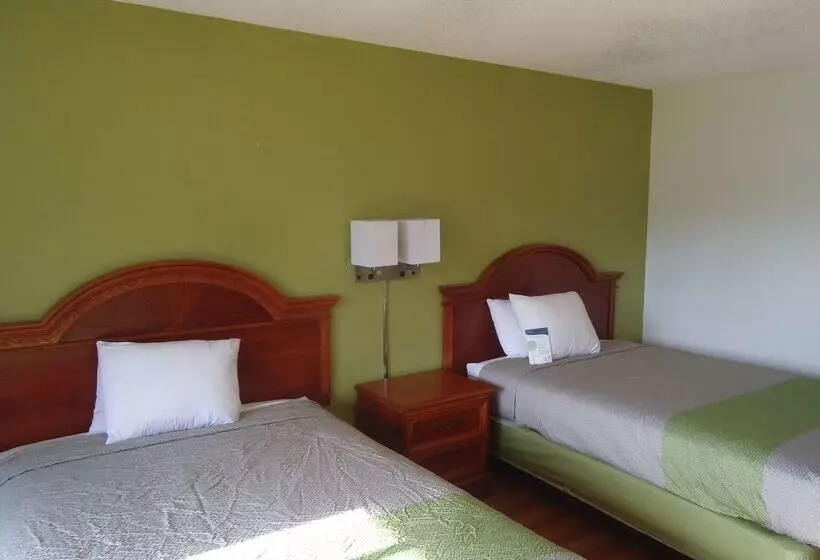 ホテル Red Roof Inn Wildwood, Fl The Villages