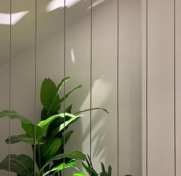 호텔 Blanco Pachuca