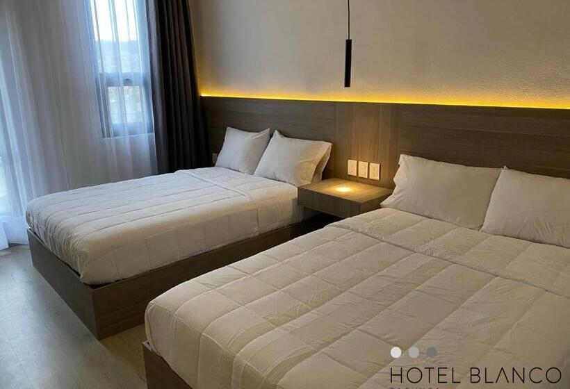 호텔 Blanco Pachuca