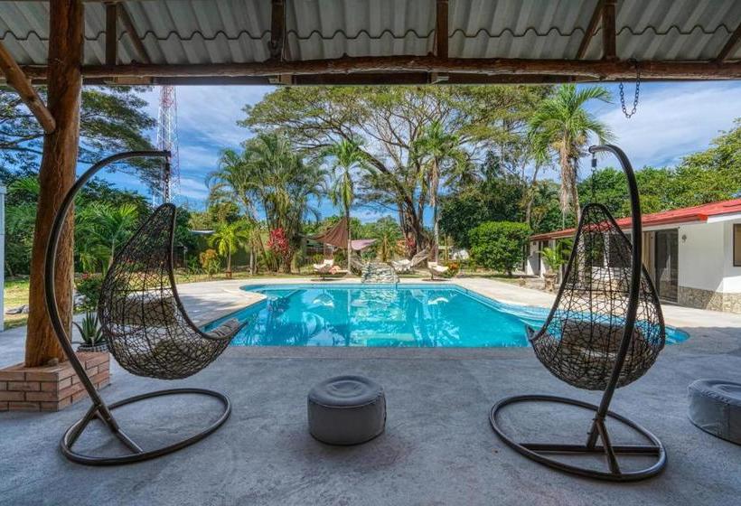 Tribe Boutique Hotel Adults Only