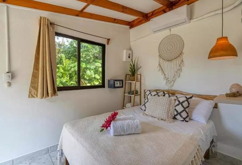 Tribe Boutique Hotel   Adults Only