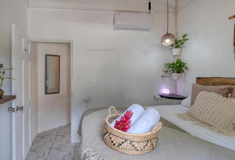 Tribe Boutique Hotel Adults Only