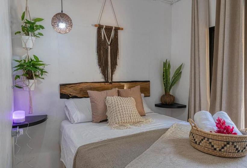 Tribe Boutique Hotel Adults Only