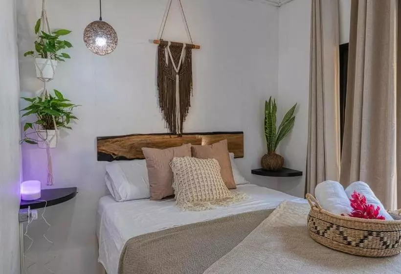 Tribe Boutique Hotel   Adults Only