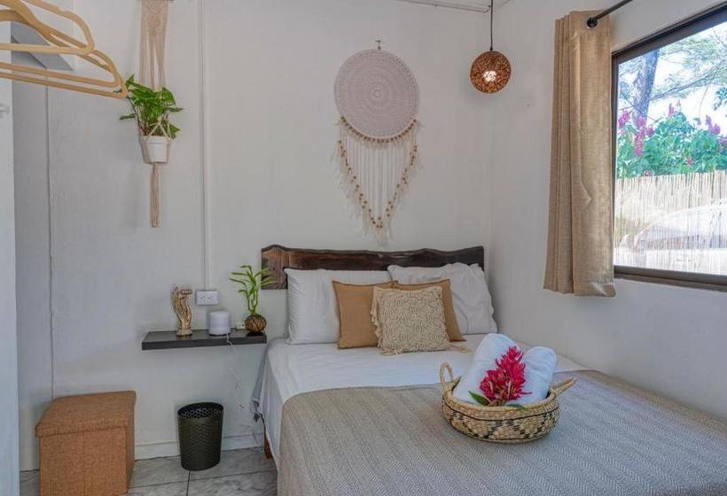 Tribe Boutique Hotel Adults Only