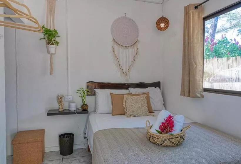 Tribe Boutique Hotel   Adults Only