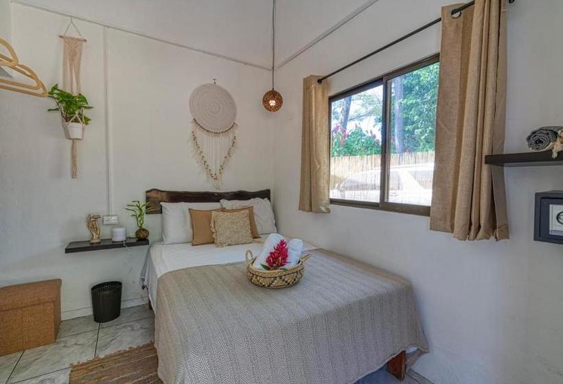 Tribe Boutique Hotel Adults Only