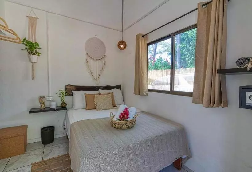 Tribe Boutique Hotel   Adults Only