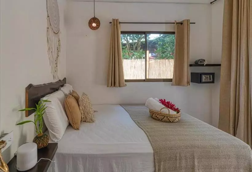 Tribe Boutique Hotel   Adults Only