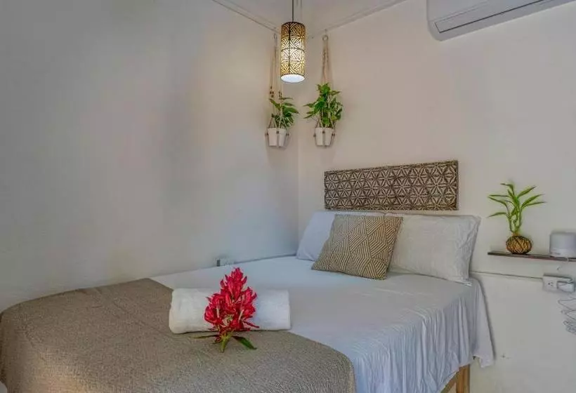 Tribe Boutique Hotel   Adults Only