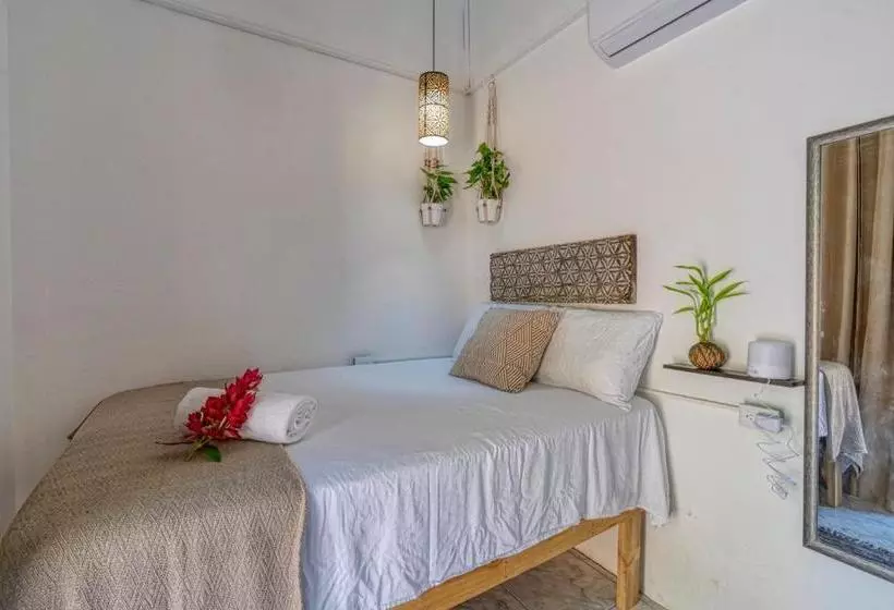 Tribe Boutique Hotel   Adults Only